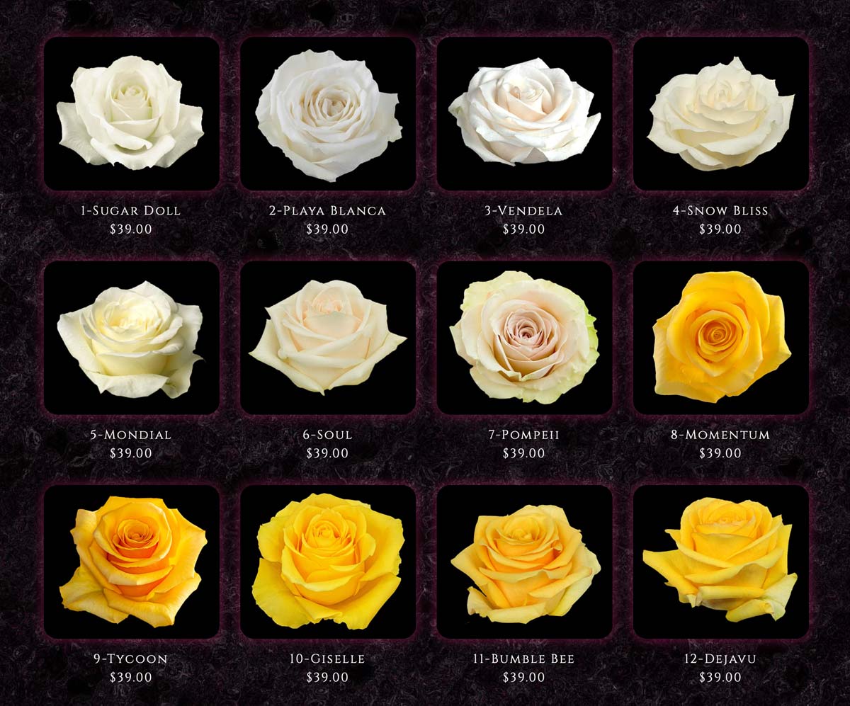 COLOMBIAN ROSES CALOUNDRA