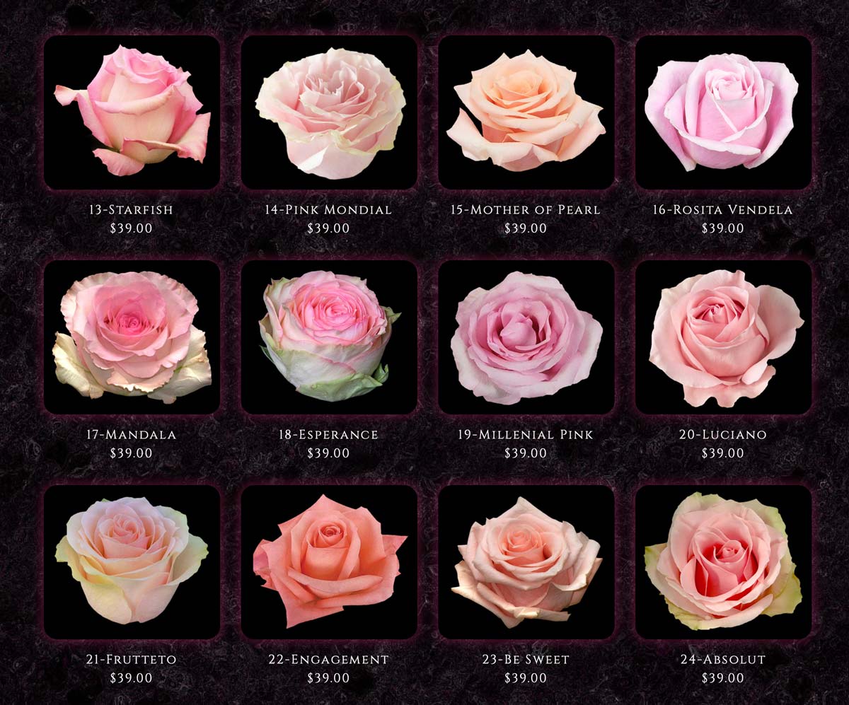 COLOMBIAN ROSES CALOUNDRA